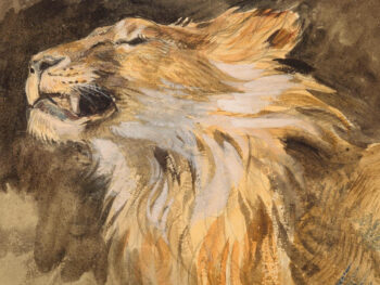 Papier Peint Intissé Modèle : Tête de lion