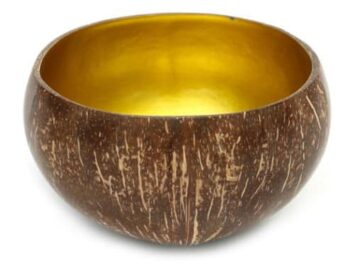 The Coco Food Bowl - Natural Gold