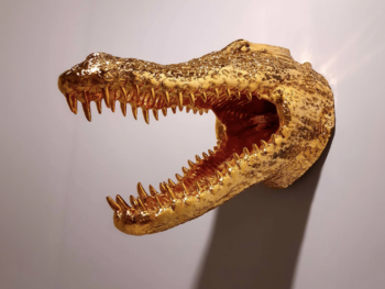 Tête de crocodile déco Alligatore Fuoriluogo Milano chrome or