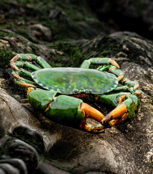 crabe en porcelaine vert