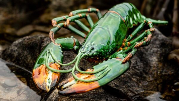 homard en porcelaine vert