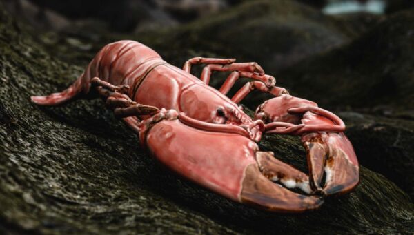 langouste en porcelaine corail